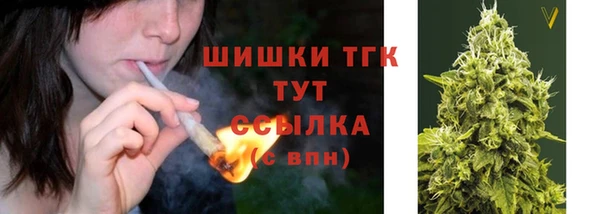 мдпв Кадников
