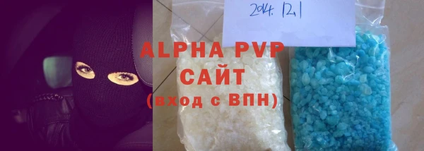 индика Сатка