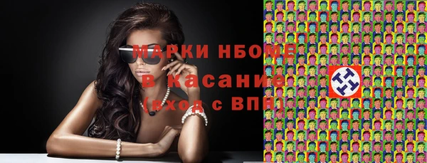 стаф Арсеньев